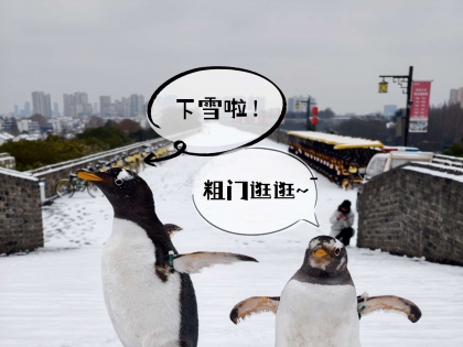企鹅上中华门城堡打卡欣赏雪景啦