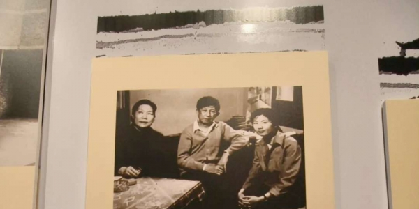 原来王安忆是隐藏的“庞家后人”