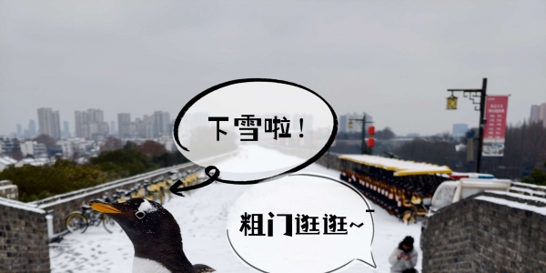 企鹅上中华门城堡打卡欣赏雪景啦