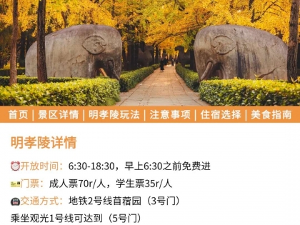 明孝陵旅游攻略：美食、交通、拍照机位、游玩路线...