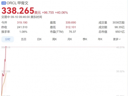 中国女婿超越马斯克荣登世界首富