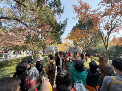 浙江中小学放秋假是不是全部来南京了？