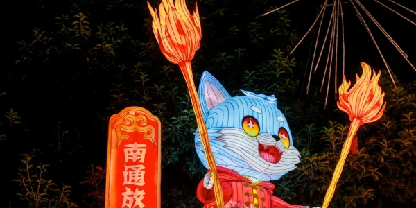 秦淮灯会十三太保的花灯也太可爱了！