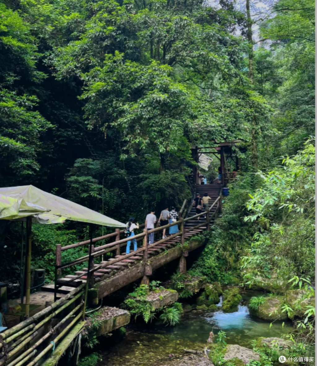 688b027b18af97639.png_e1080.jpg.jpg